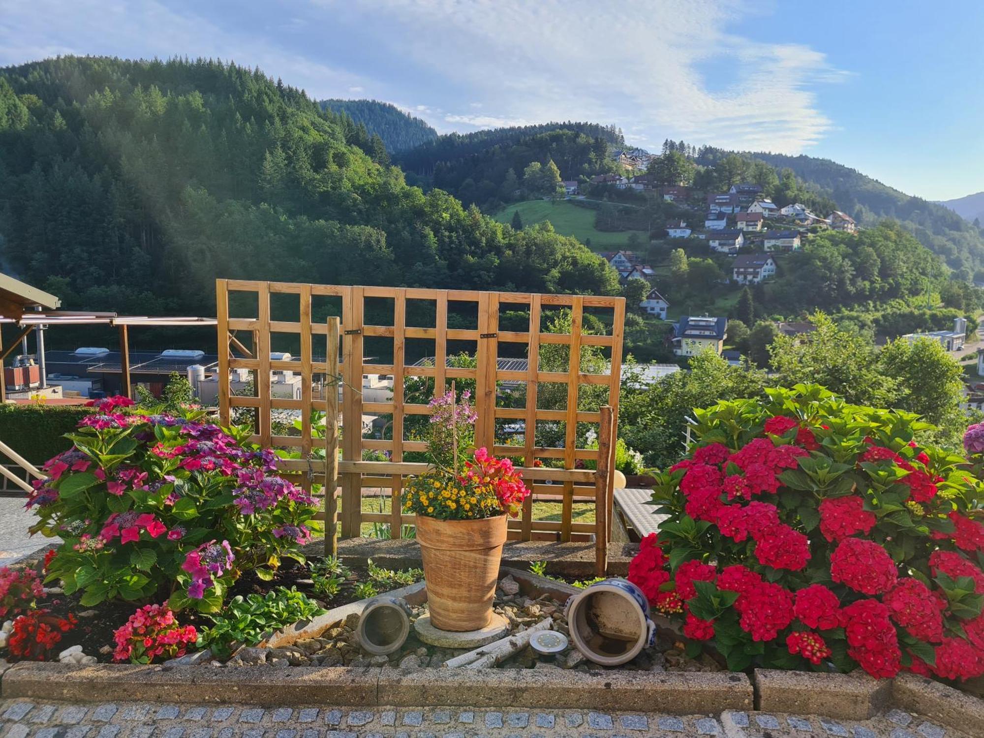 Schwarzwaldsteig Apartment *