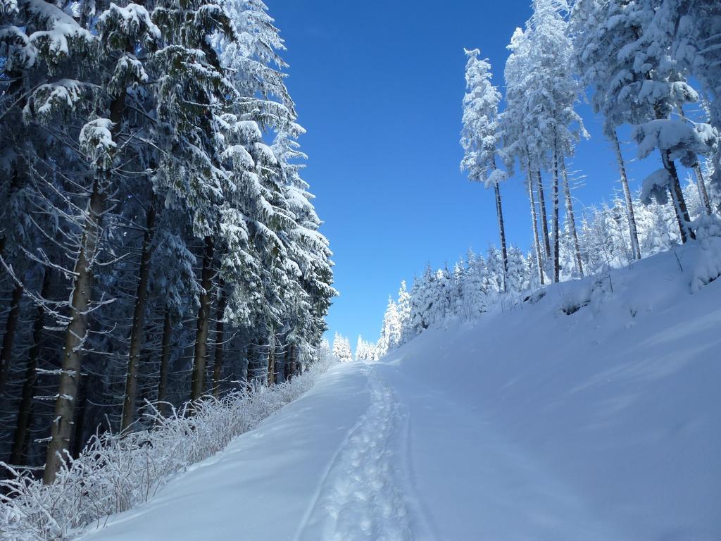 Schwarzwaldsteig *