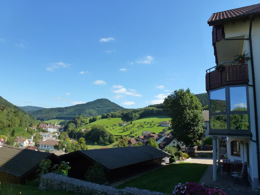 Schwarzwaldsteig