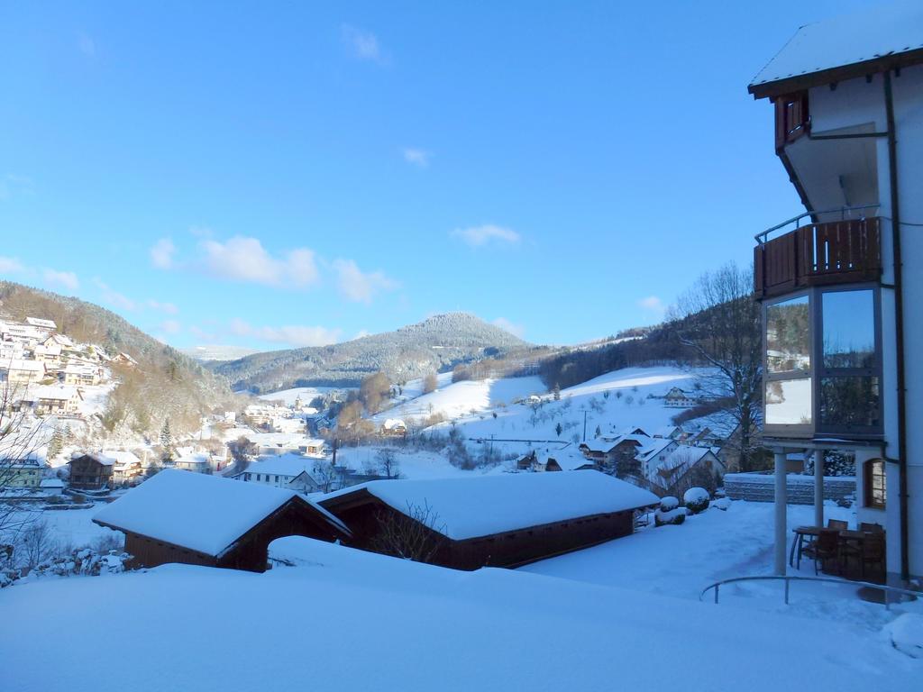 Schwarzwaldsteig Bad Peterstal-Griesbach