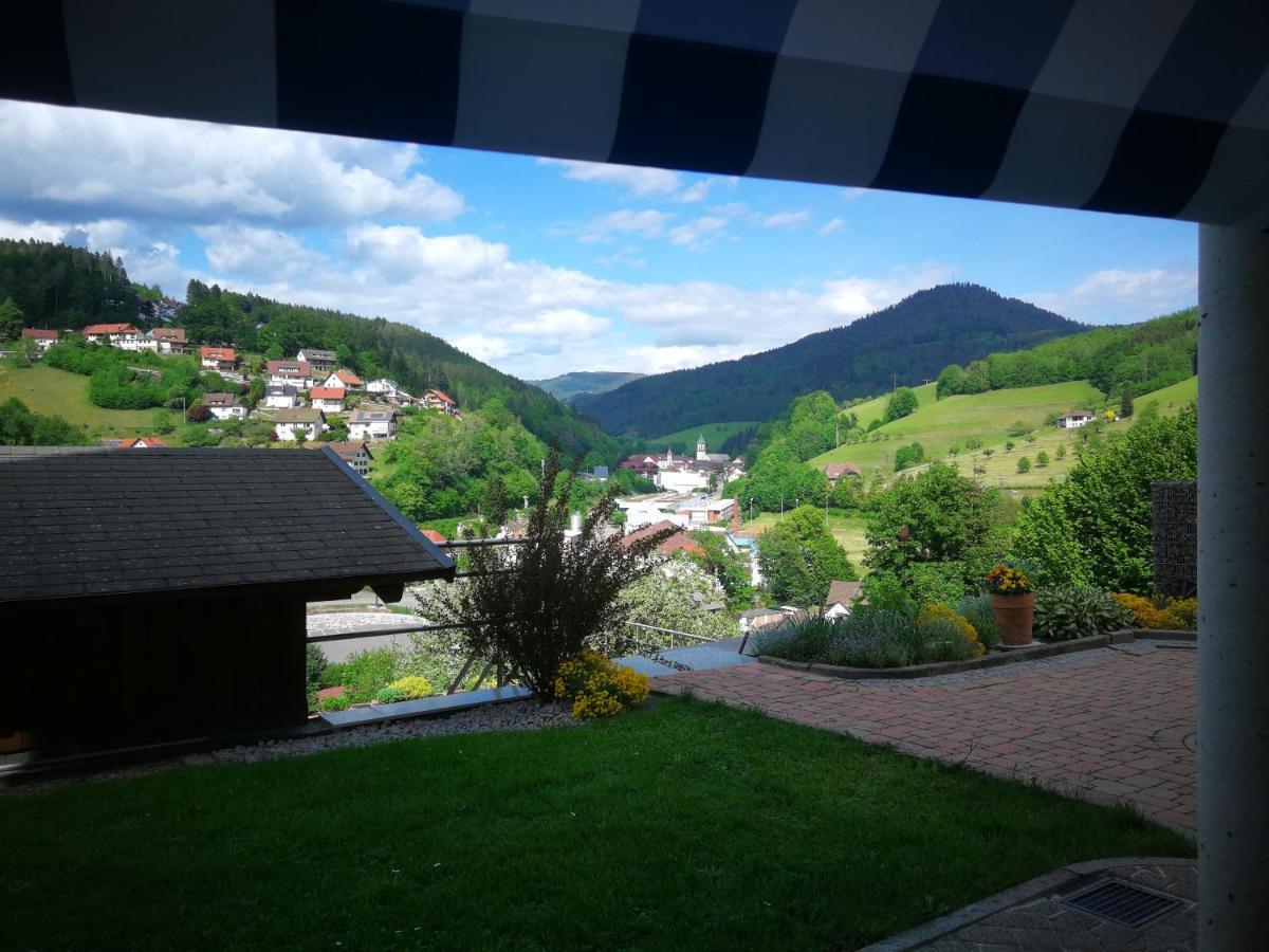 Apartment Schwarzwaldsteig Bad Peterstal-Griesbach