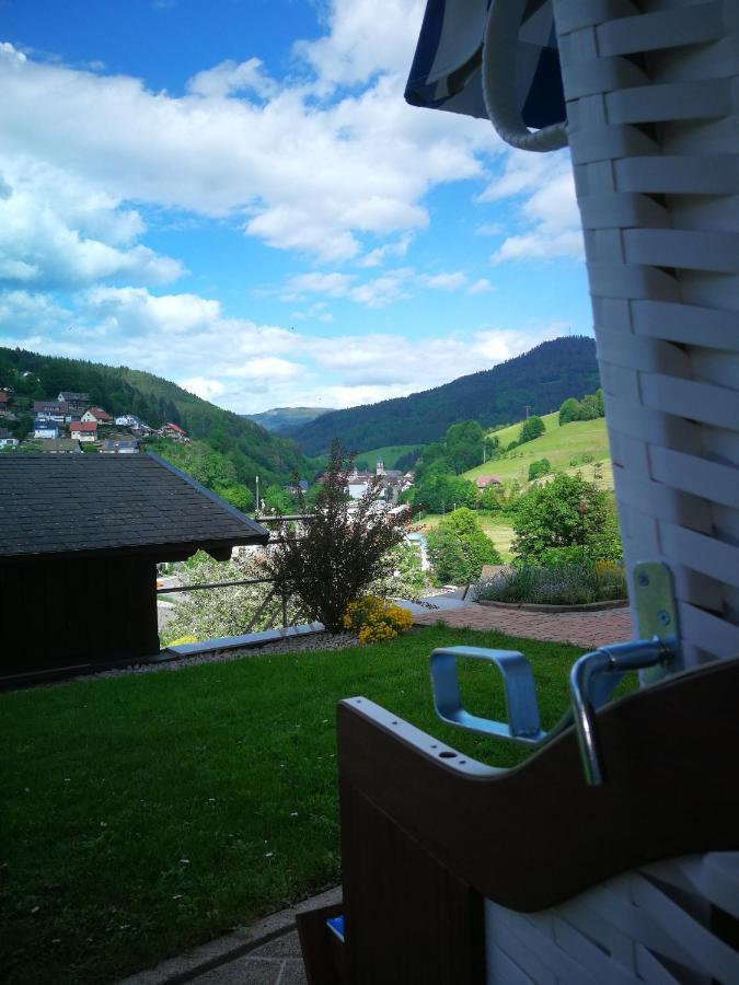 Schwarzwaldsteig *